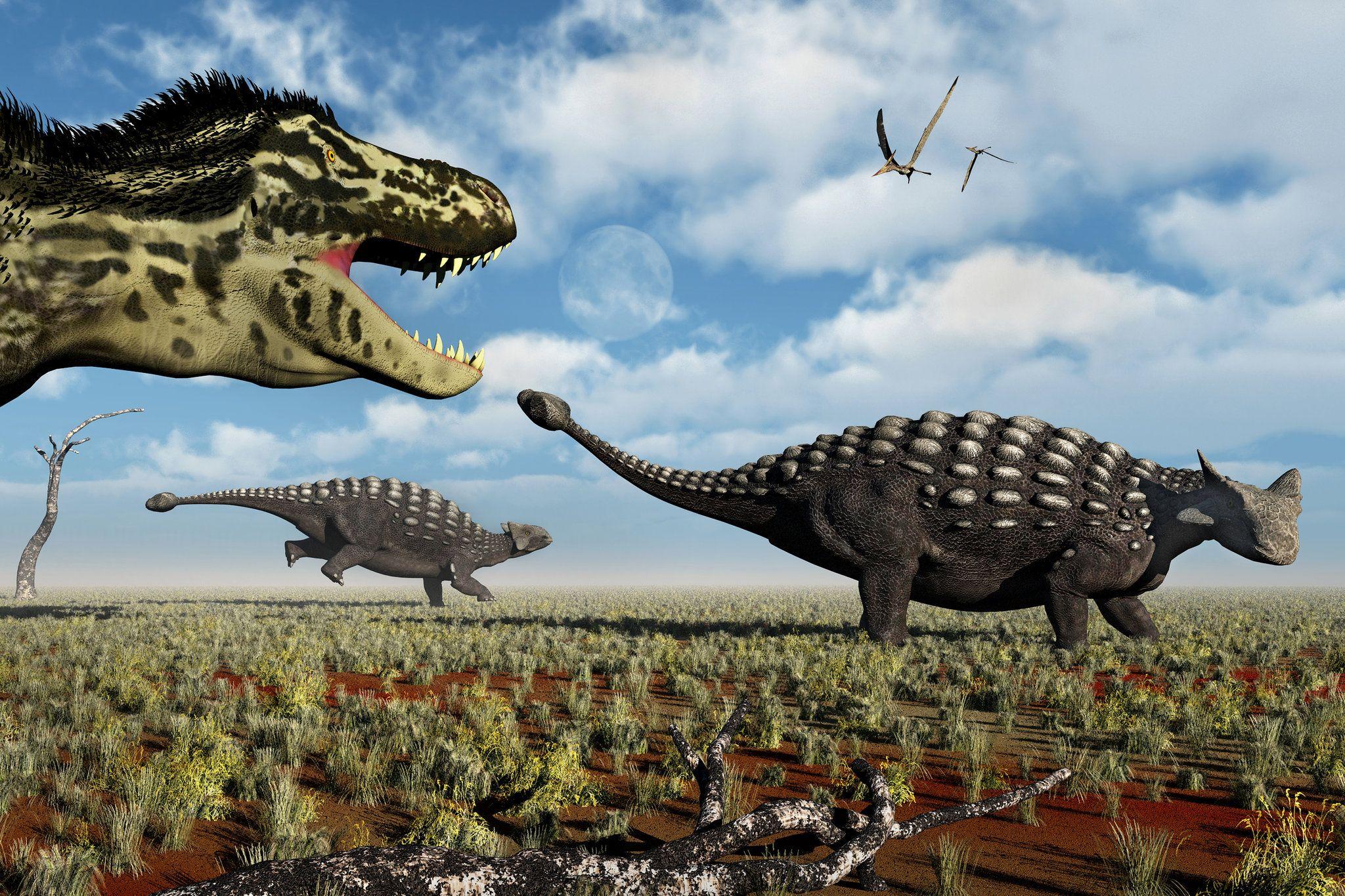 2048x1365 Where Did Animals With Tail Weapons Go? Here's a Back Story