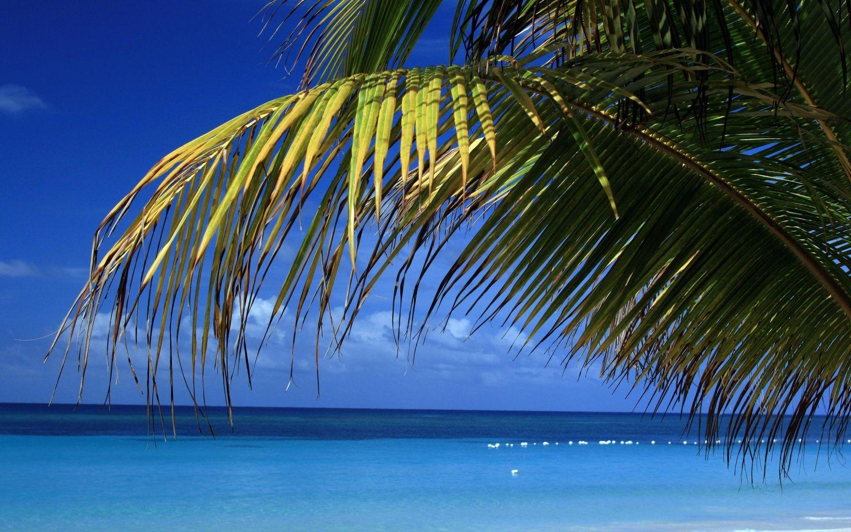 1680x1050 Calm Beach Wallpaper