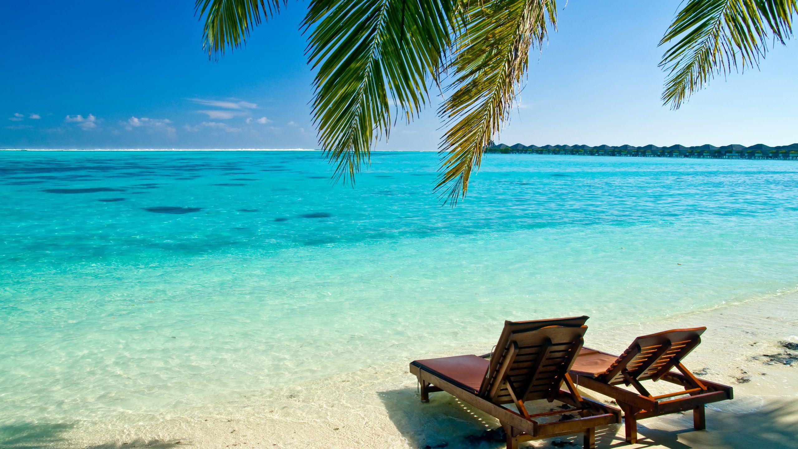 2560x1440 Two Brown Wooden Slanting Chair On Beach Sand With Calm Body Of Water HD Beach Wallpaper