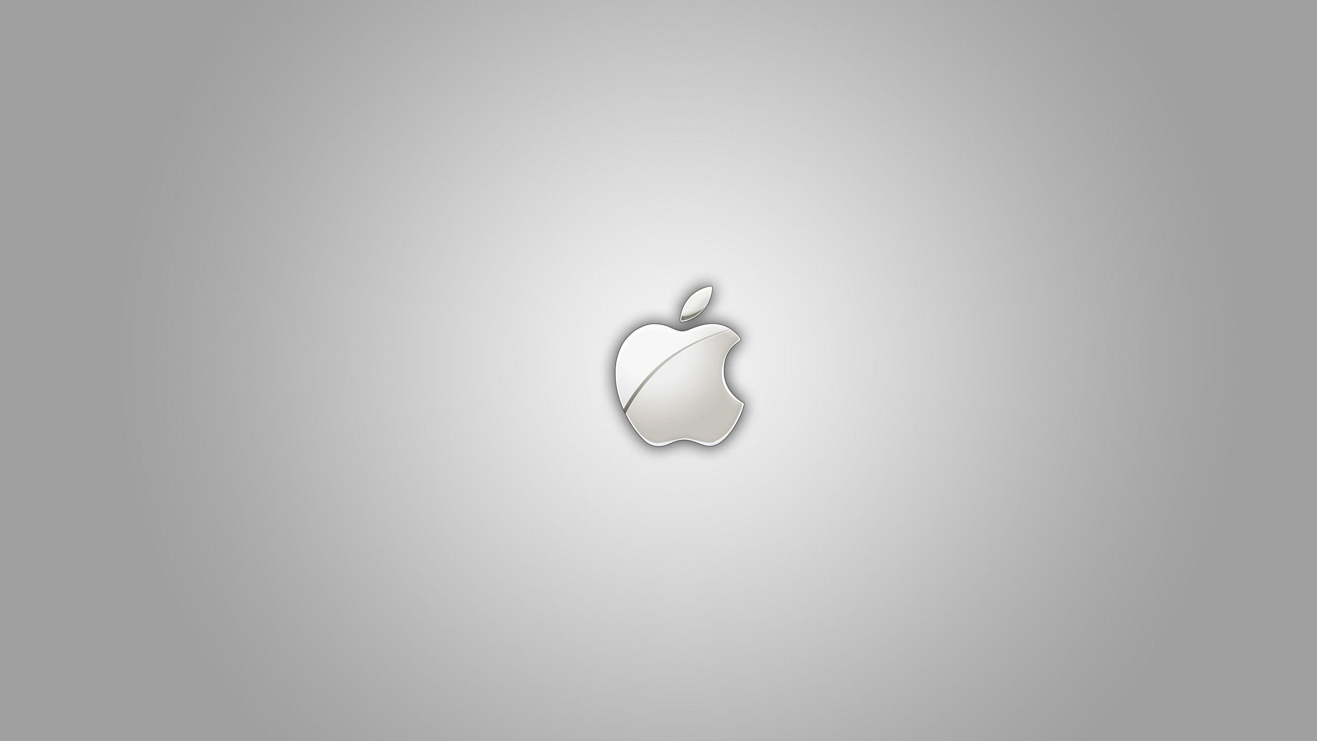2560x1440 Apple icon on gray background wallpaper and image, picture, photo