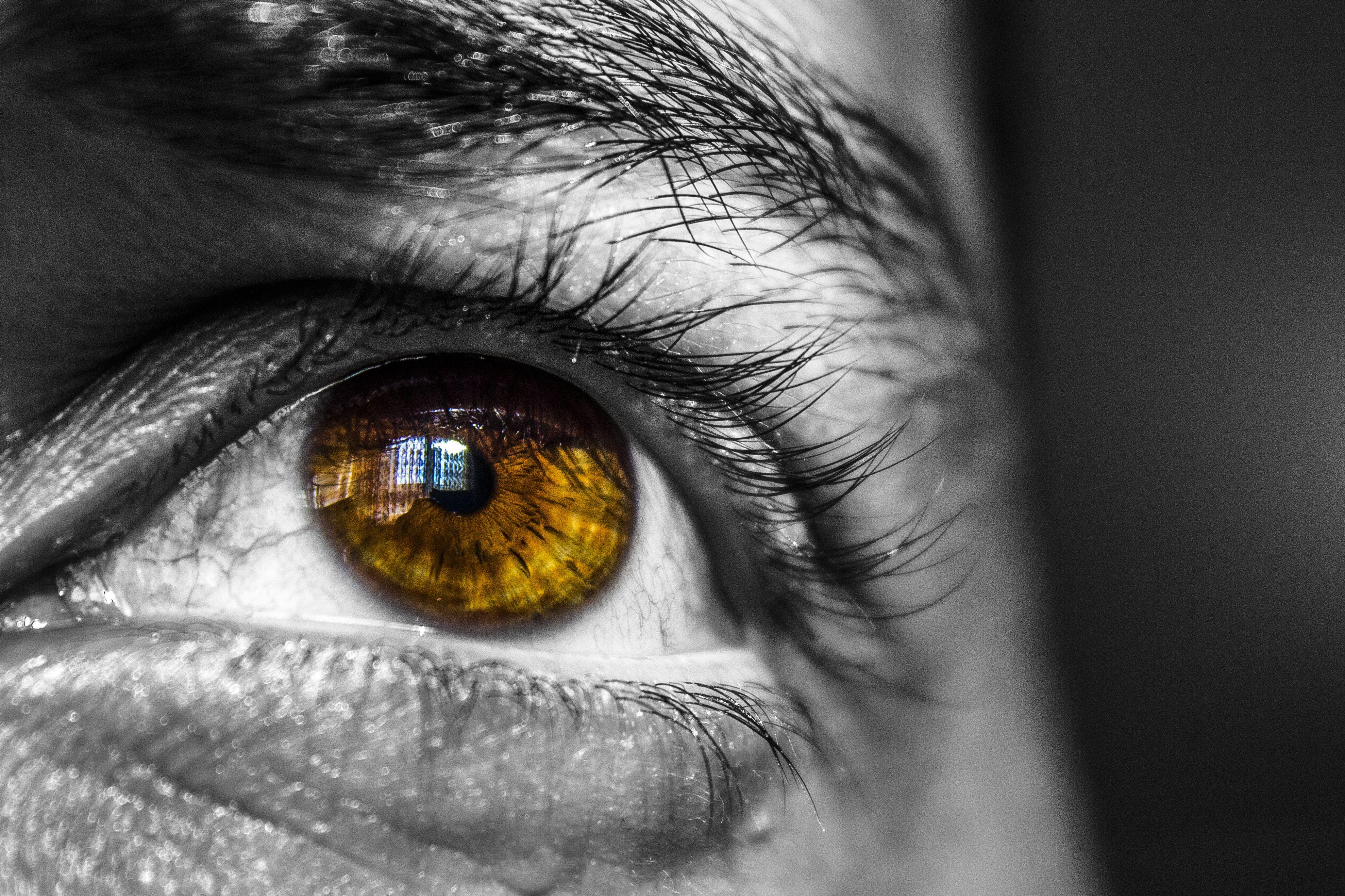 4115x2743 Person's Brown Eye · Free
