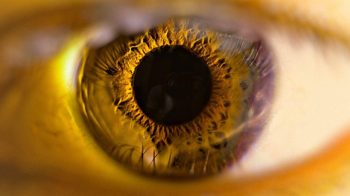1366x768 Close Your Eyes Wallpaper. Close Ups Wallpaper, Fruit Close Up Wallpaper And Dandelion Close Up Wallpaper