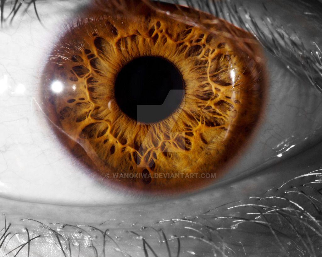 Brown Eyes Wallpapers - Top Free Brown Eyes Backgrounds - WallpaperAccess