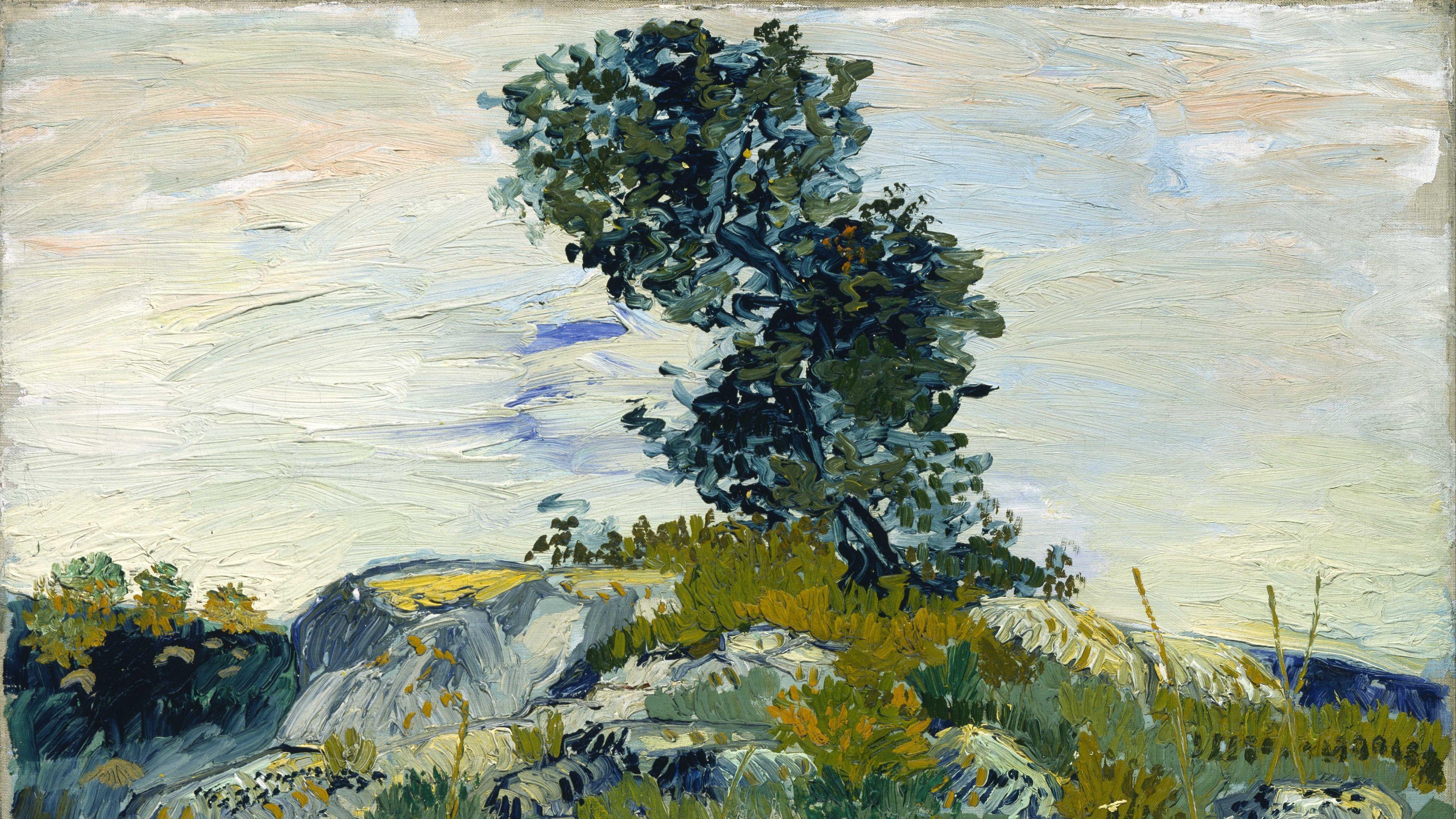 Van gogh tree wallpapers top free van gogh tree backgrounds