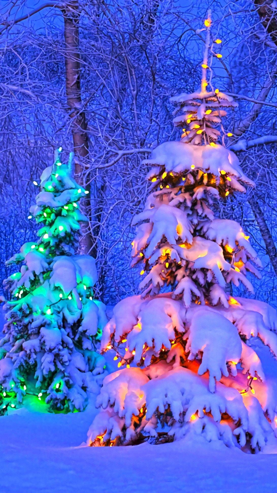 1091x1940 Christmas Trees Phone Wallpaper for iPhone iPad Android and Windows Mobile. Weihnachten handy hintergrund, Weihnachtshintergrund, Hintergrund für weihnachtsfotos