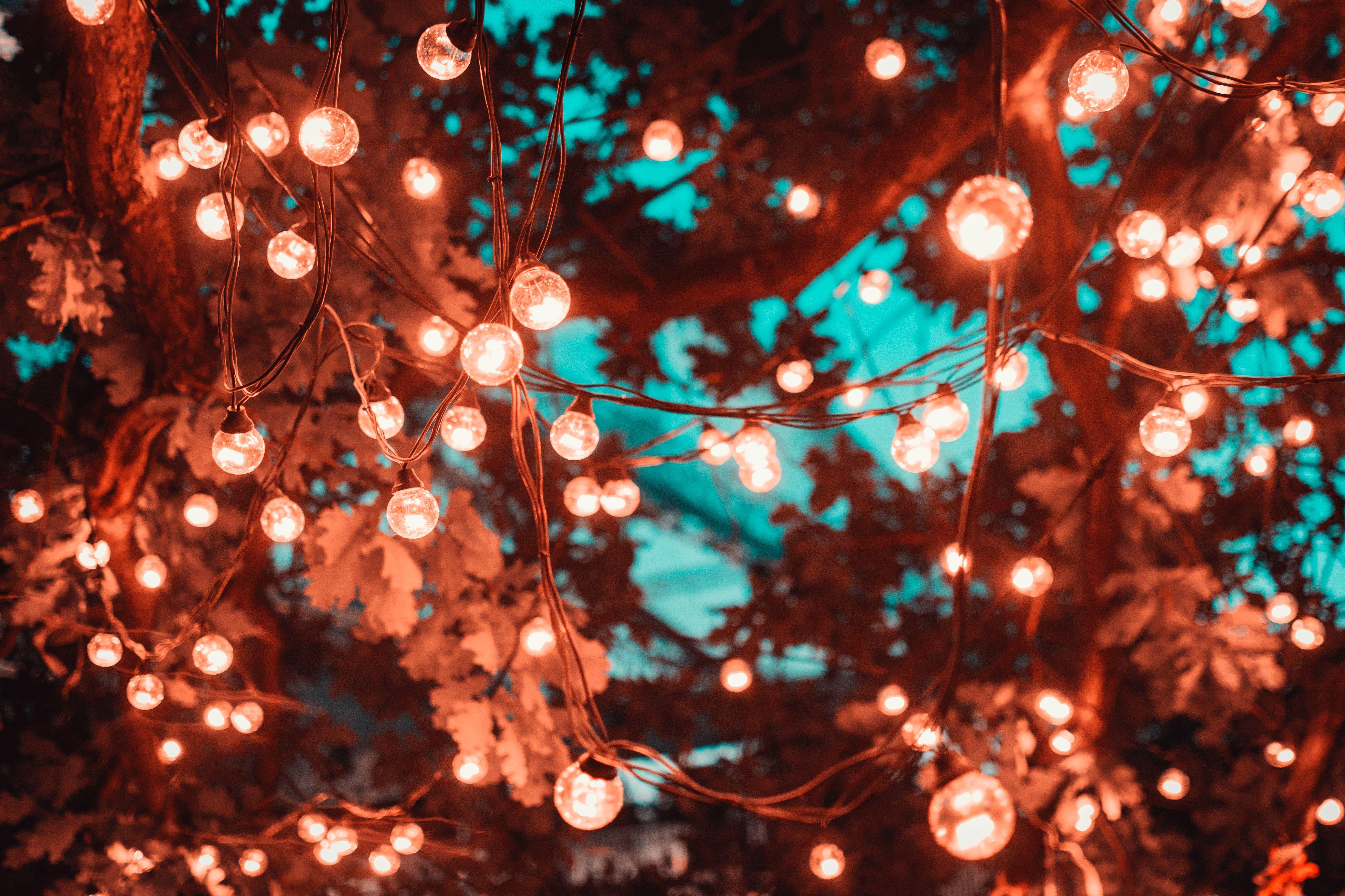 6000x4000 Autumn Fairy Lights Wallpaper .