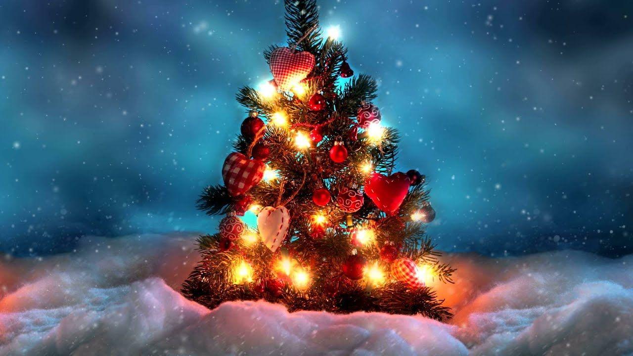 1280x720 Christmas Tree Live Wallpaper