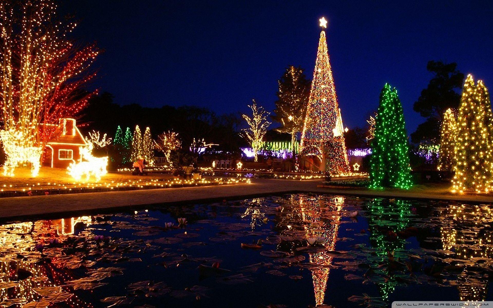 1920x1200 Christmas Tree Light Ultra HD Desktop Background Wallpaper for : Widescreen & UltraWide Desktop & Laptop