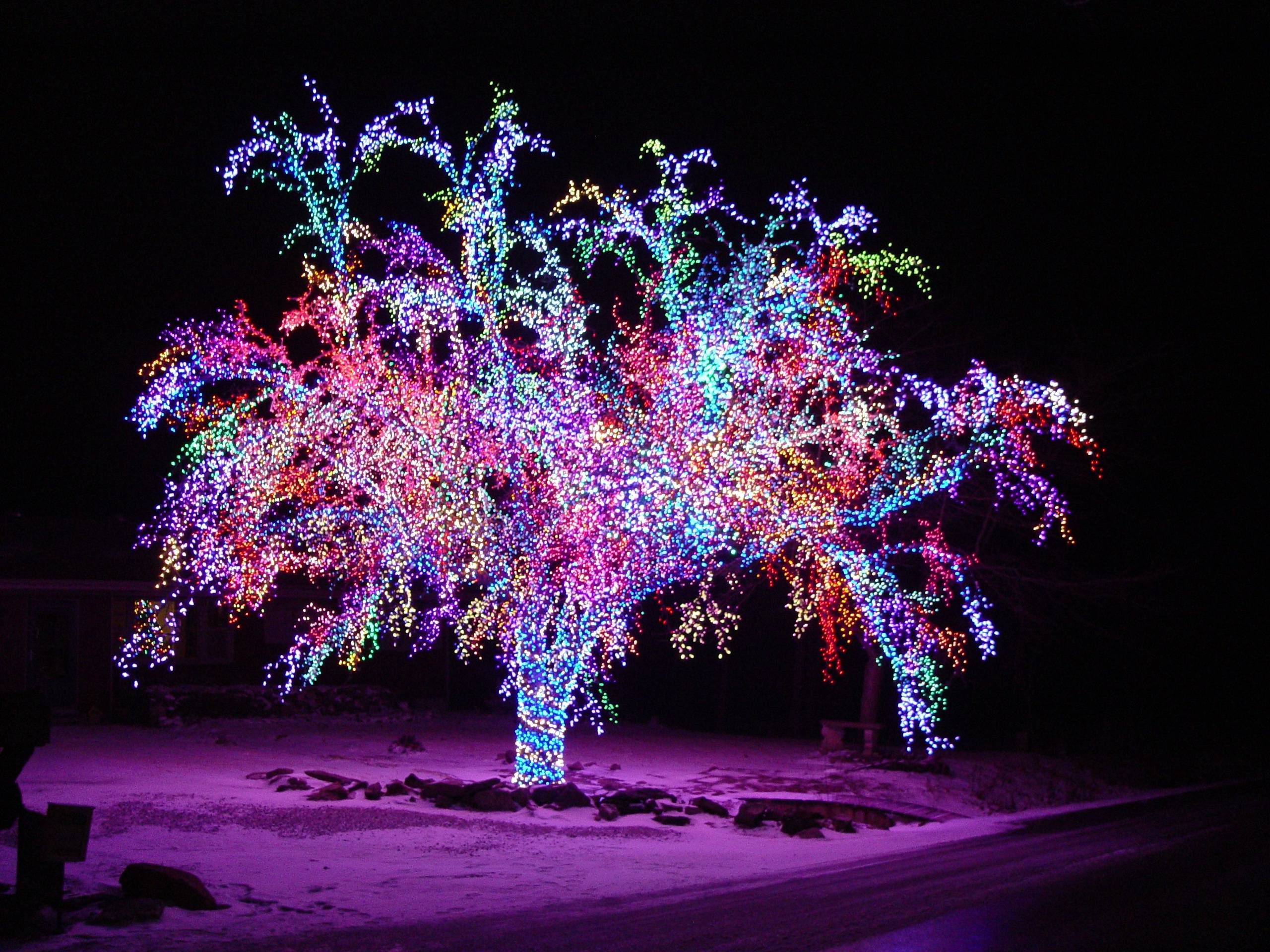 2560x1920 Xmas Tree HD Wallpaper