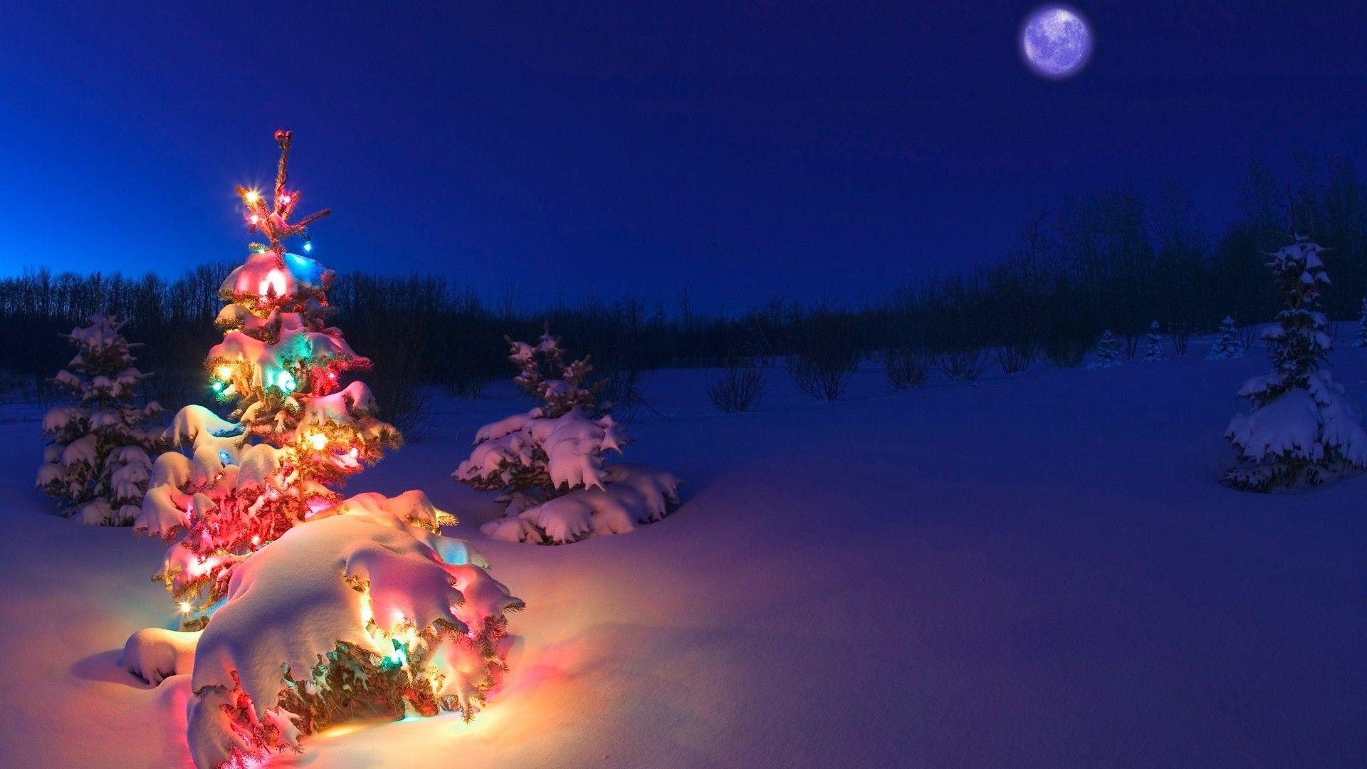1920x1080 1920x1080 christmas tree snow christmas lights wallpaper JPG 323 kB