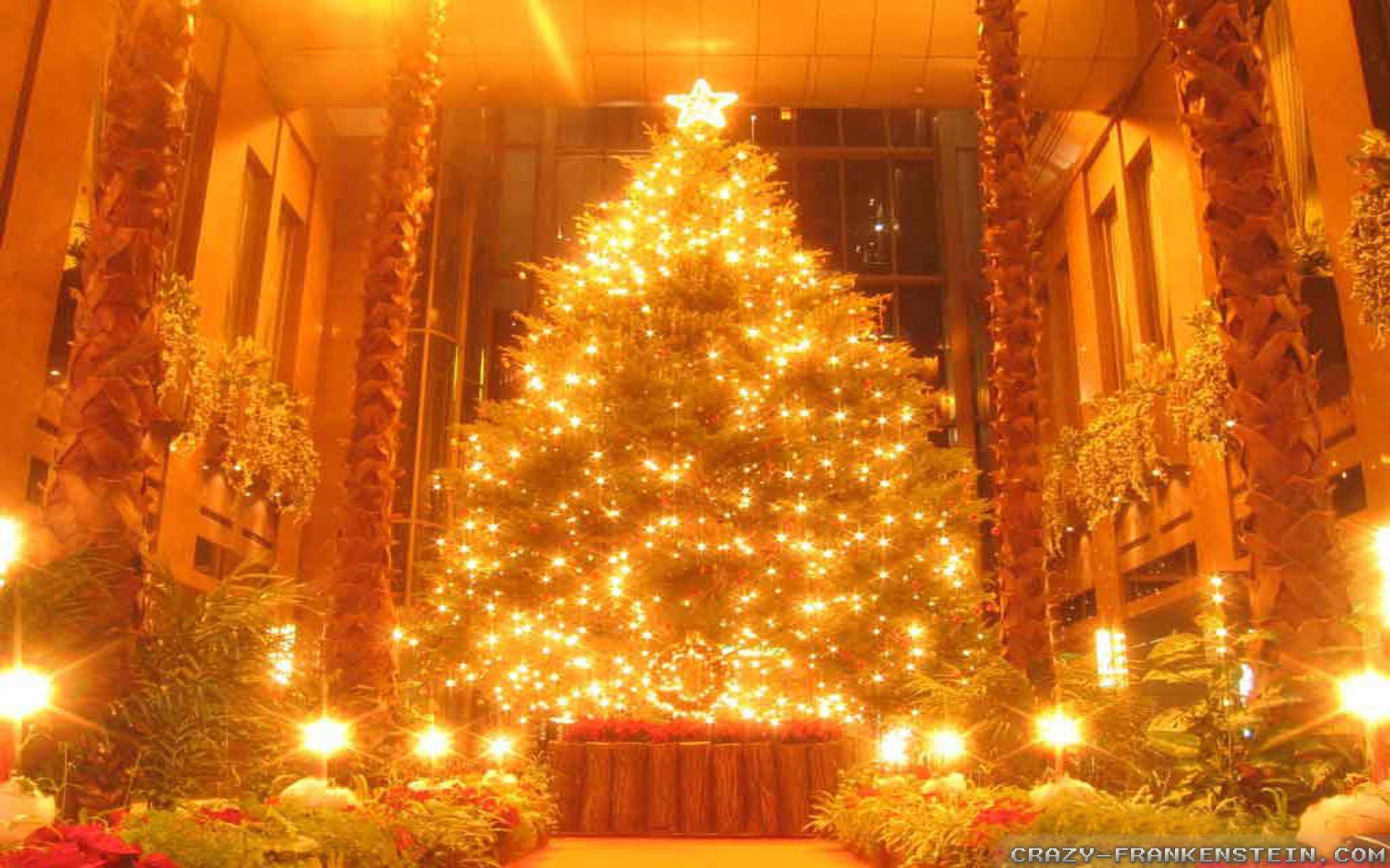 1920x1200 Christmas Lights wallpaper