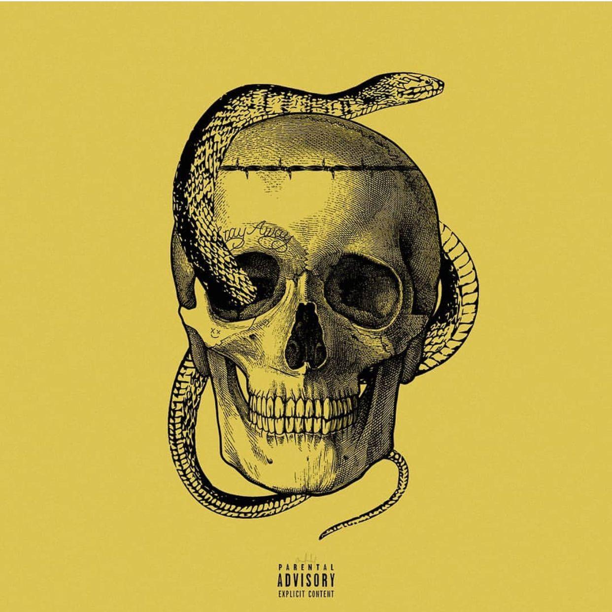 1242x1241 Scorpion Queen
