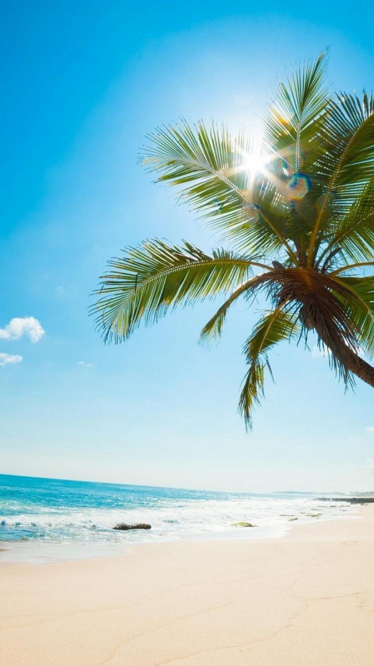 750x1334 Caribbean beach wallpaper