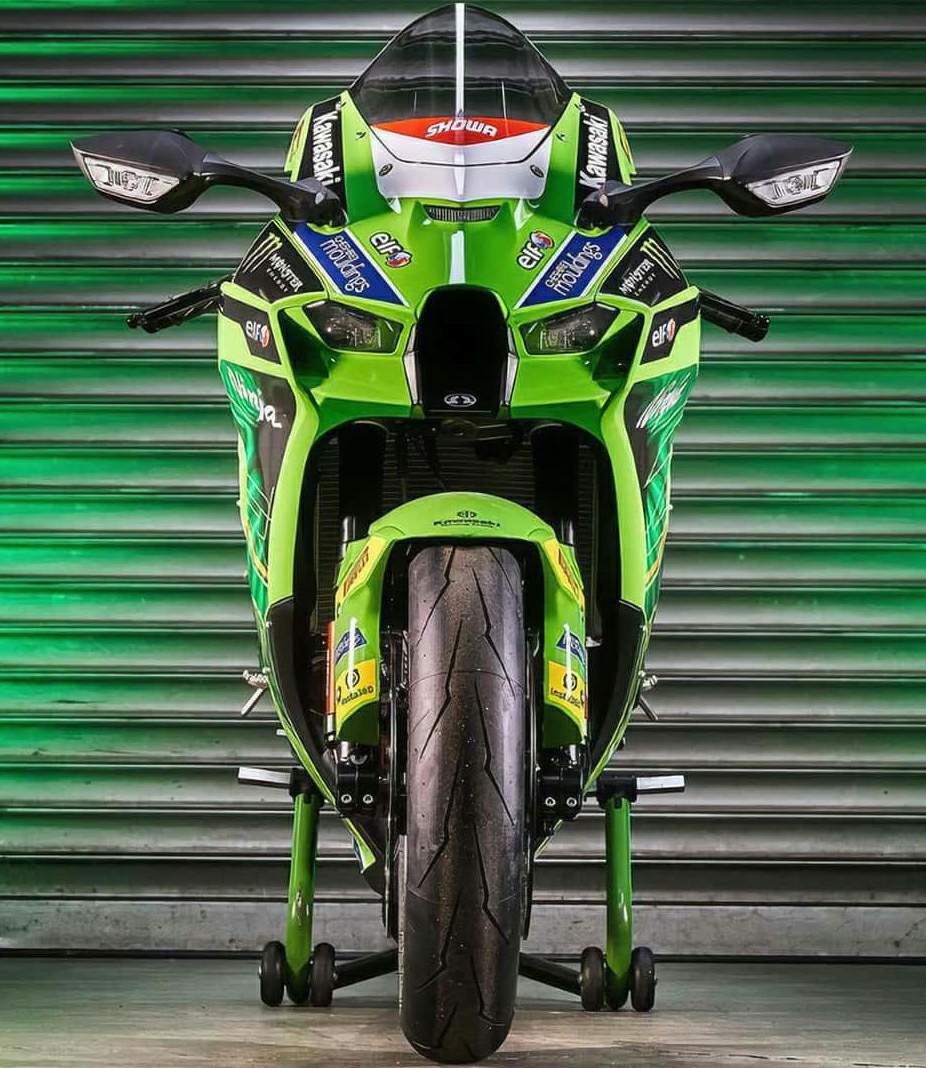 926x1068 Kawasaki ZX 10RR Ninja WSBK Limited Edition