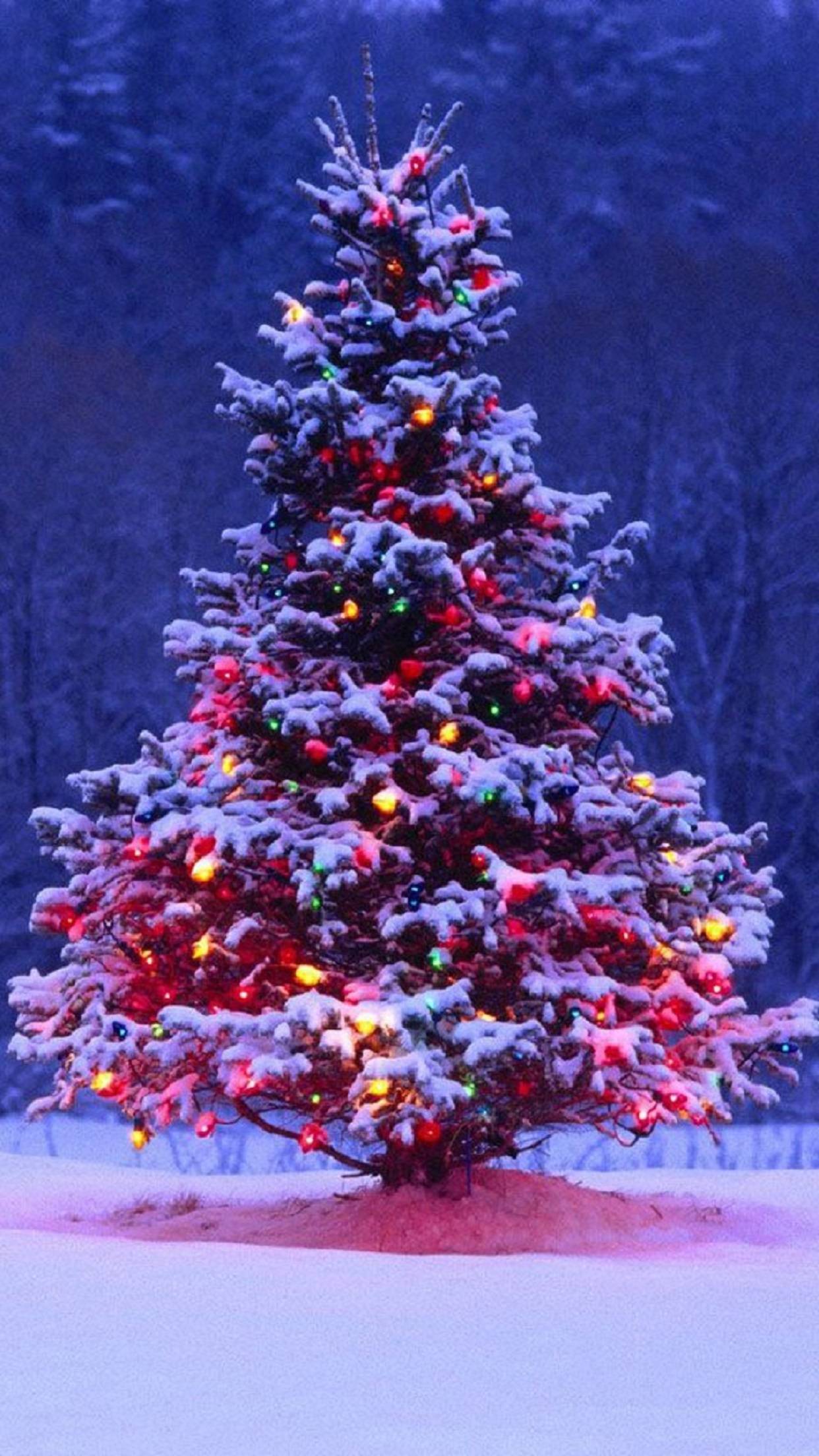 1242x2208 Try to Use 32 Christmas Wallpaper for iPhones