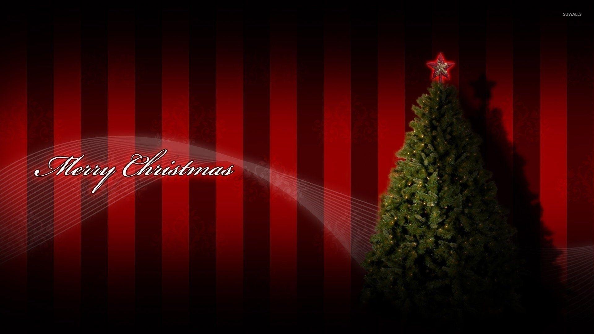 Christmas Tree Red Wallpapers - Top Free Christmas Tree Red Backgrounds