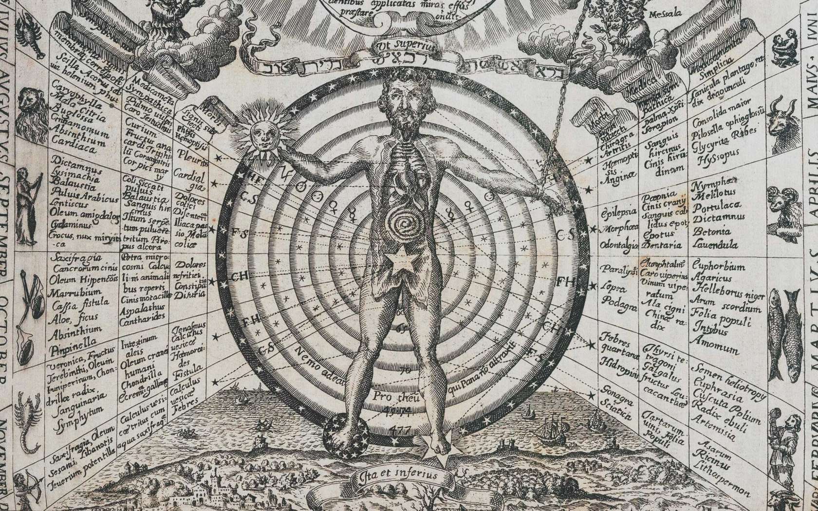 1680x1050 The polymath in the age of specialisation