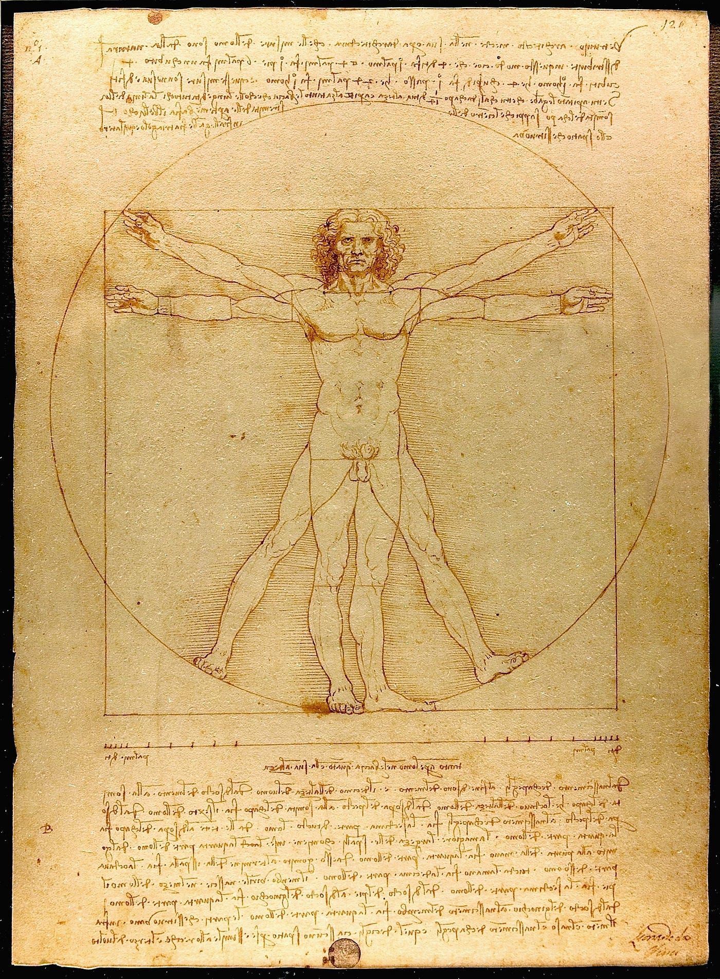 1400x1903 Are You A Polymath, Philomath, or a Genius?.
