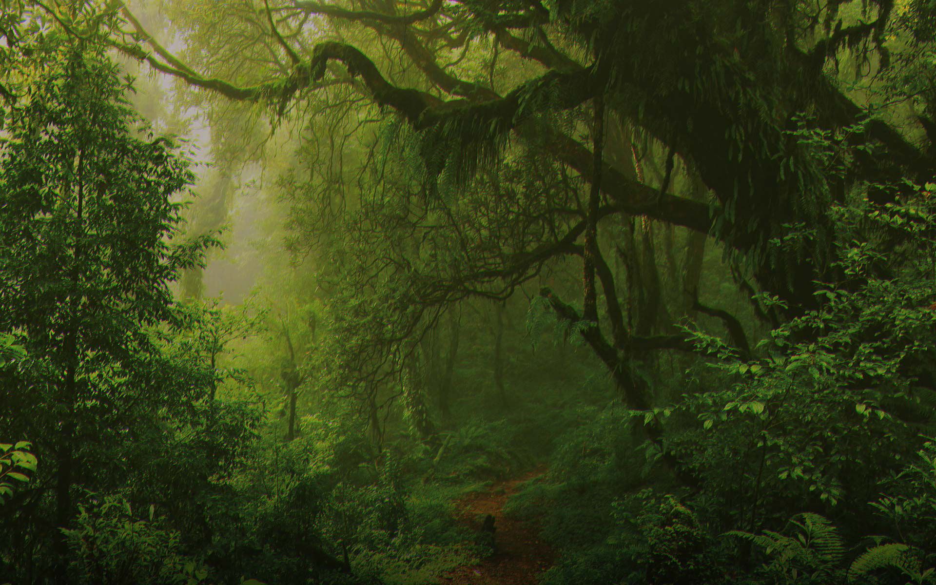 1920x1200 More Metal Gear Solid Snake Eater Pachislot Image