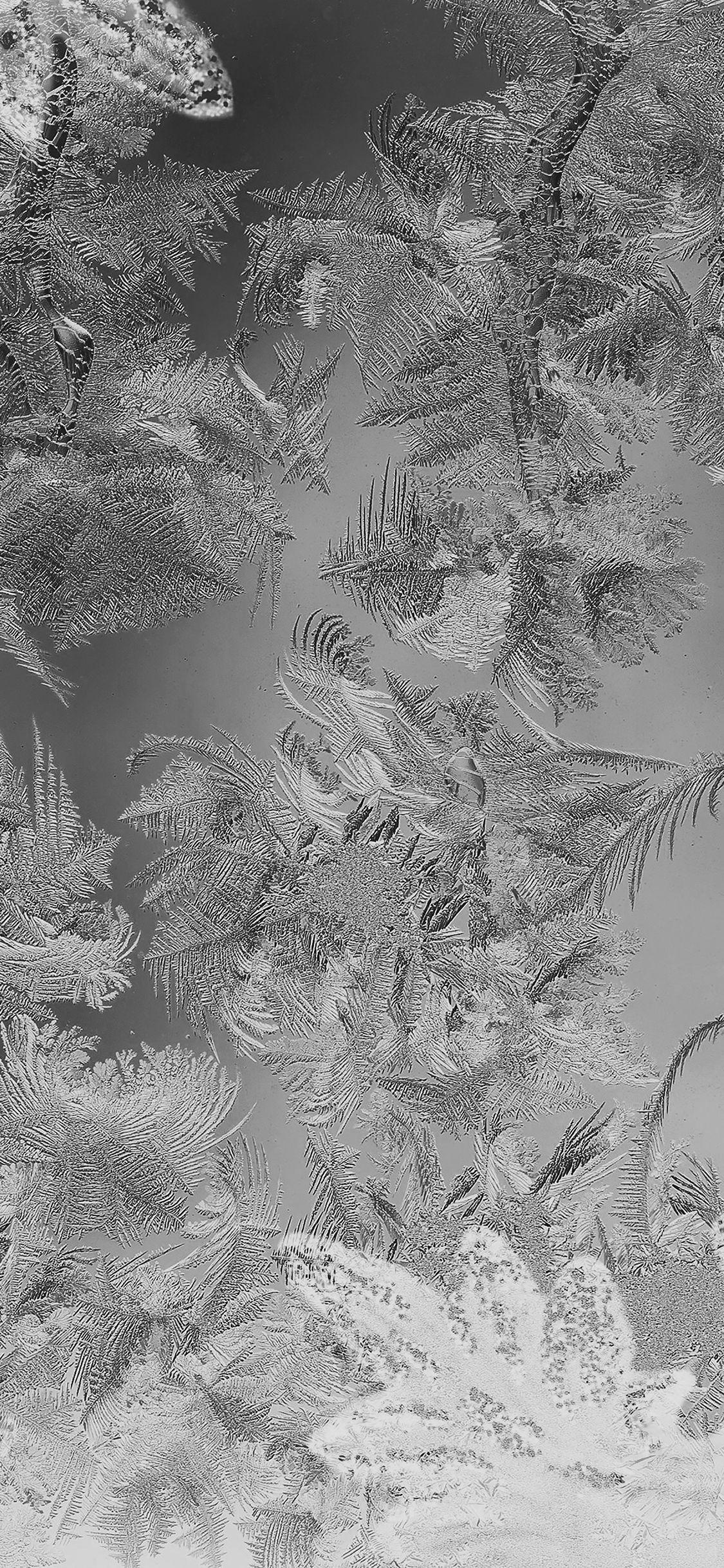 1125x2436 iPhone XS / iPhone X Christmas Wallpaper