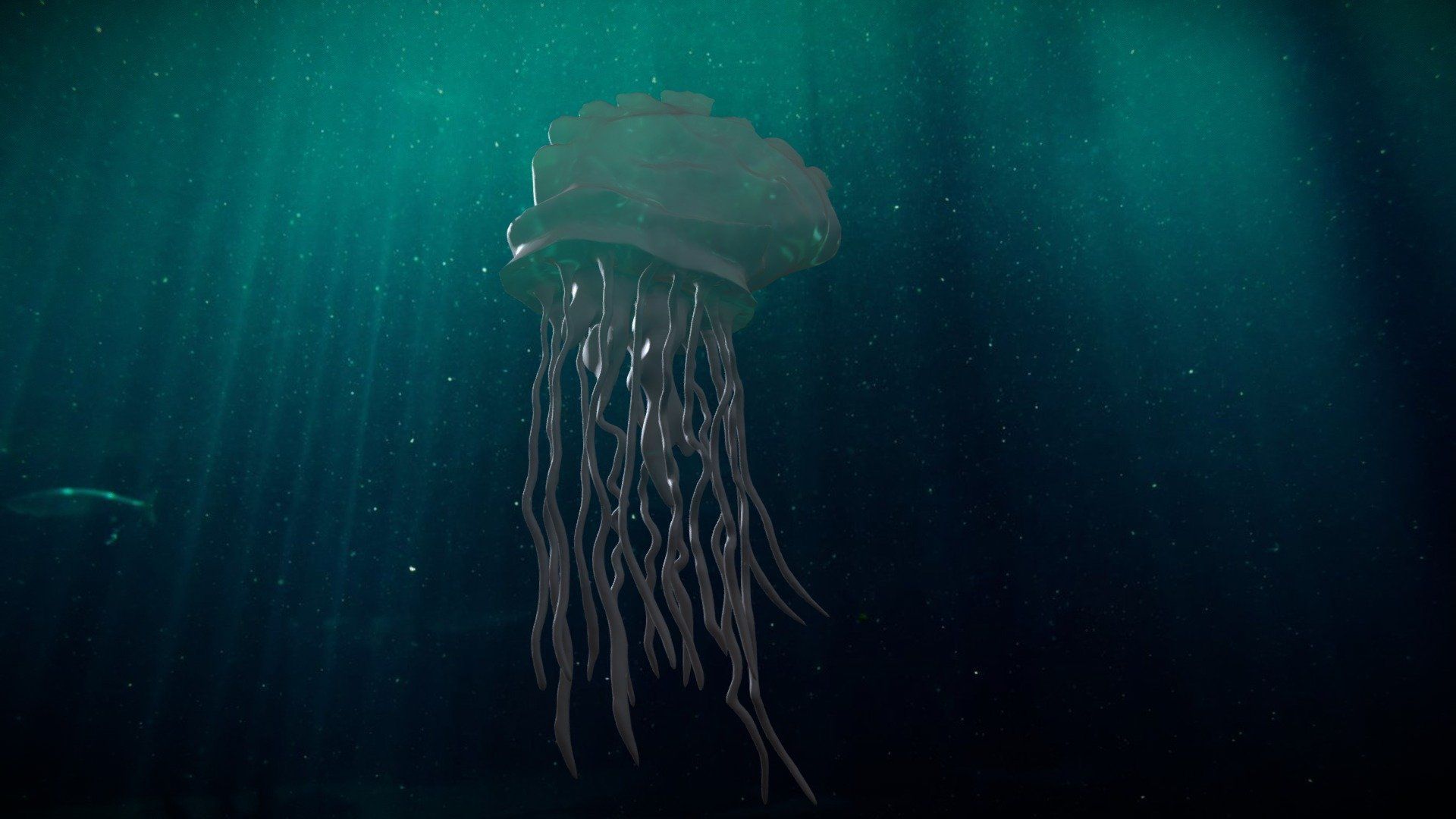 1920x1080 Portuguese man o' war Free 3D model by Shapelab [cbd8c3e]