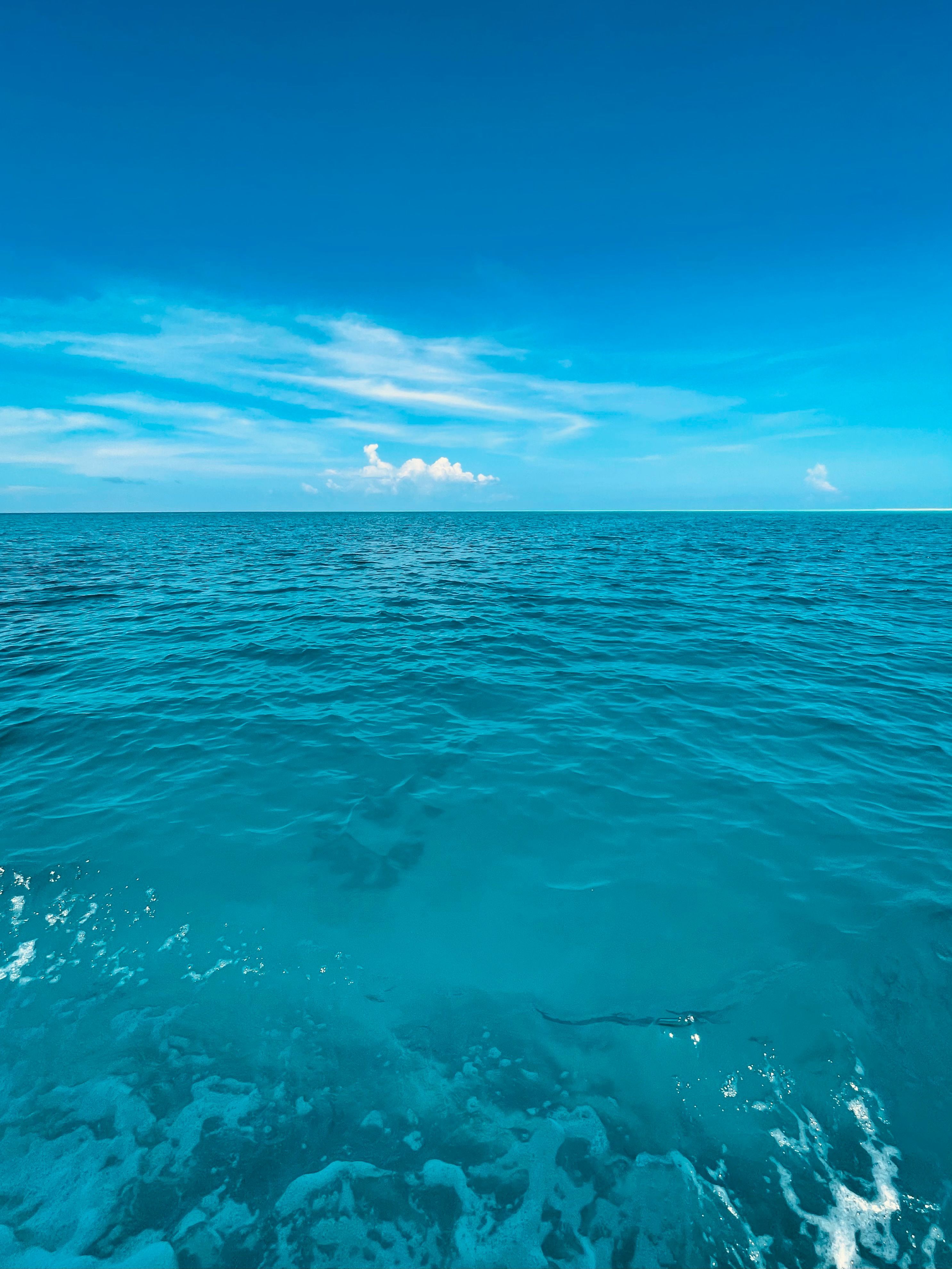 2972x3963 Ocean Wallpaper Photo, Download The BEST Free Ocean Wallpaper & HD Image
