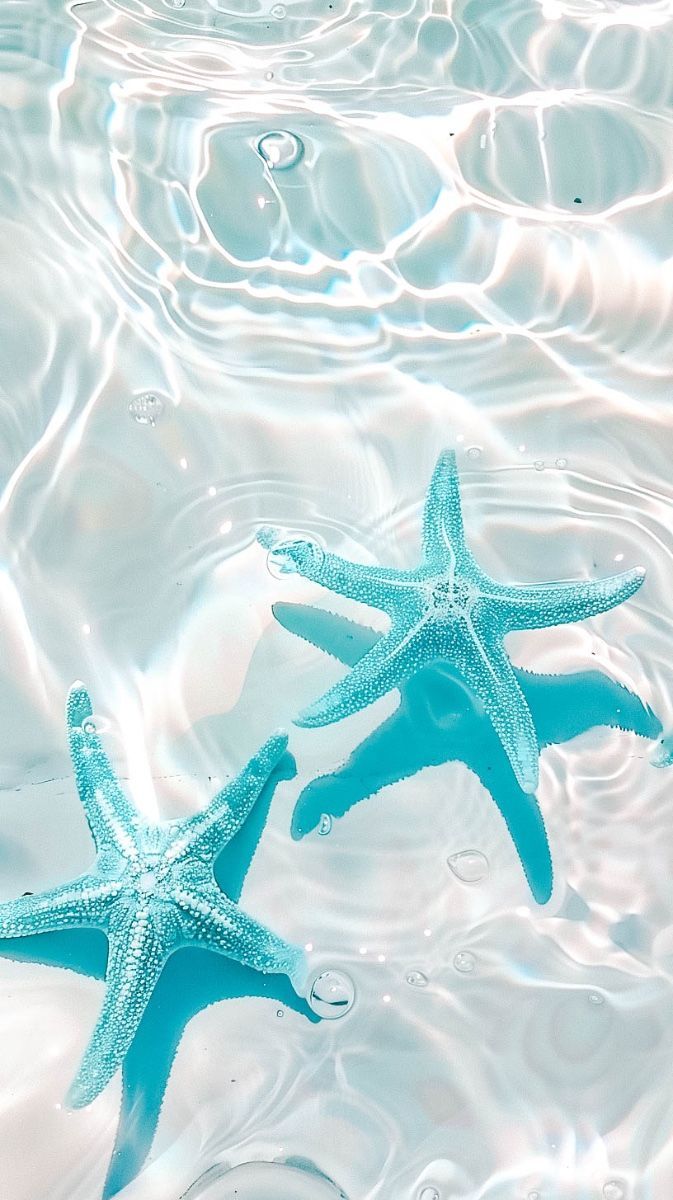 673x1200 Ocean Wallpaper