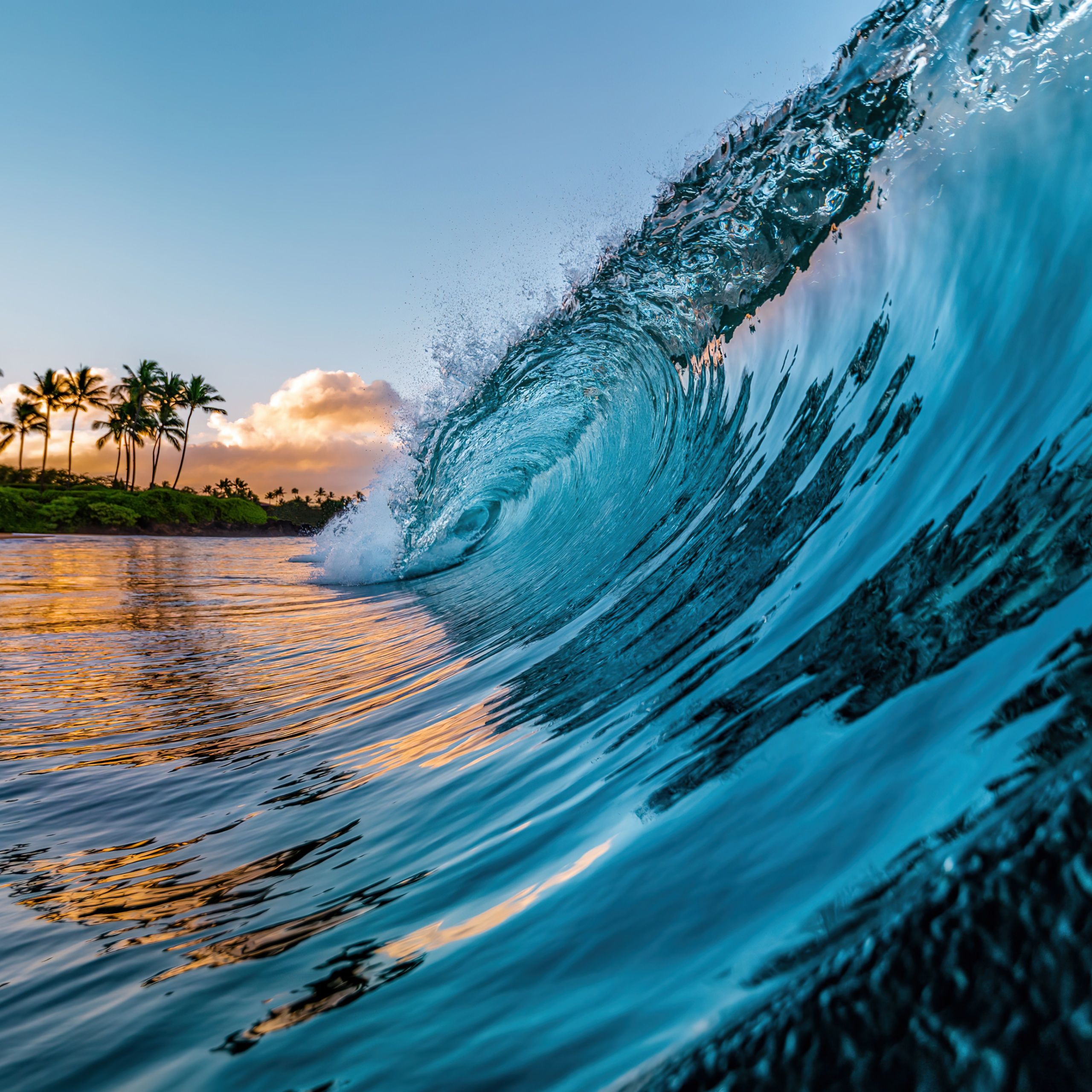2560x2560 Ocean Waves Wallpaper 4K, Palm trees, Tropical beach