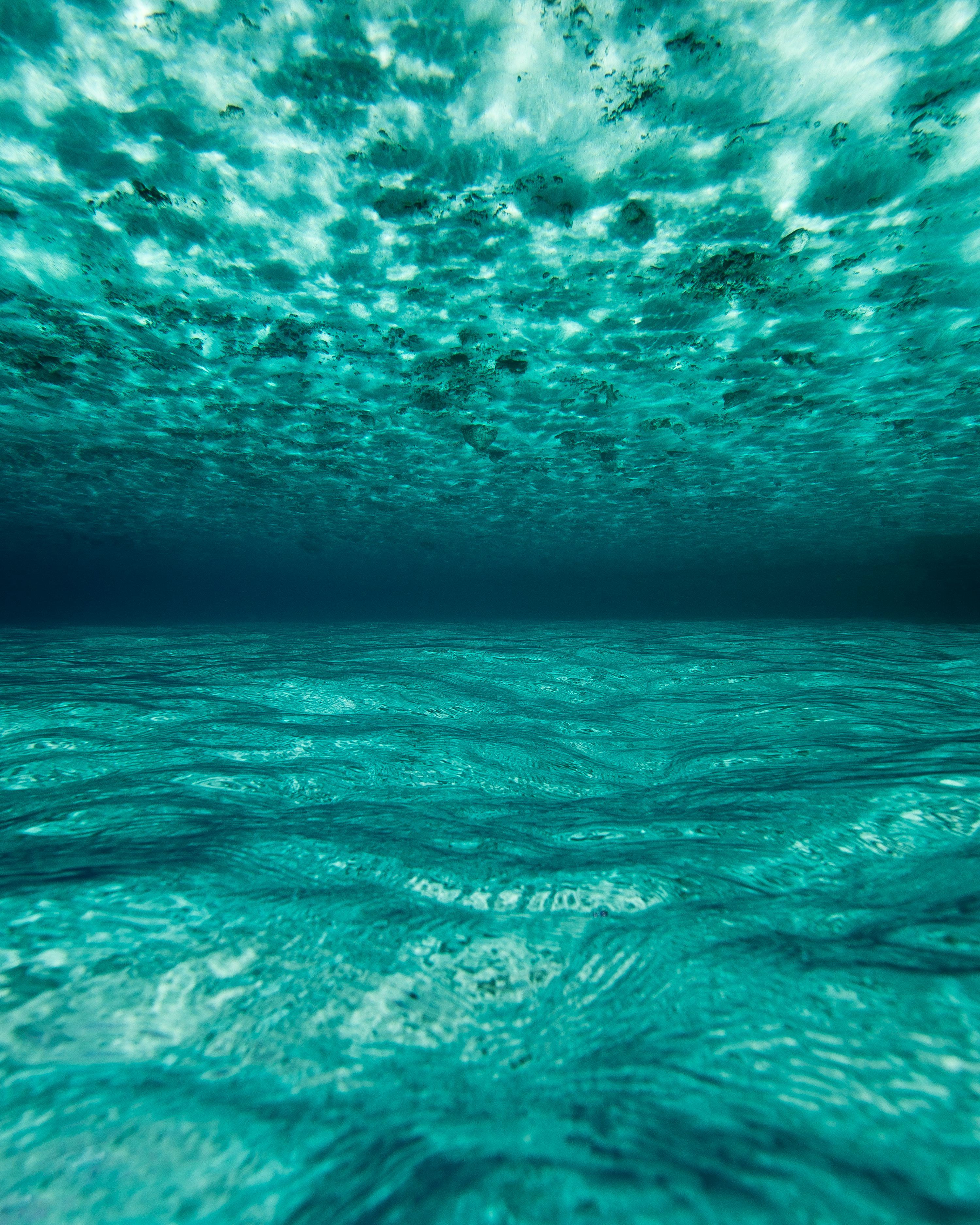 3000x3749 Sea Green Picture. Download Free Image