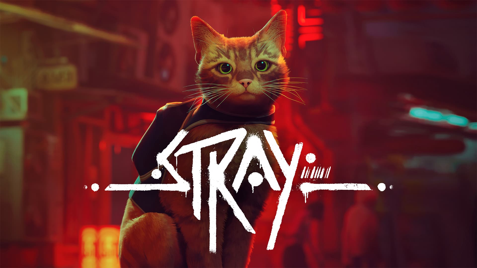 1920x1080 Stray