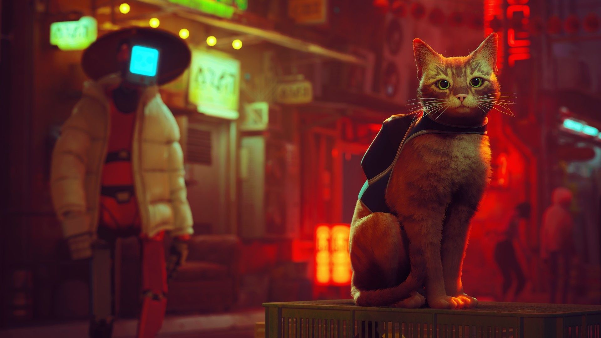 1920x1080 Stray (Game) Wallpaper