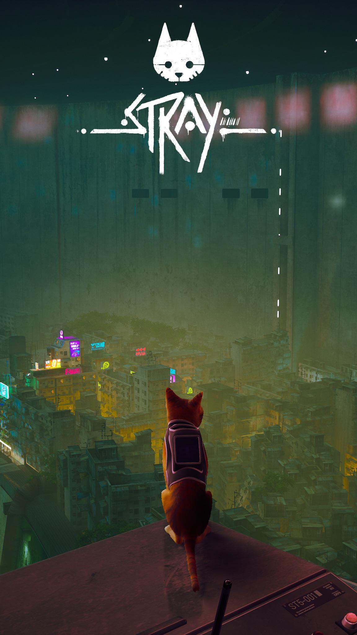 1152x2048 Stray Game Phone Wallpaper