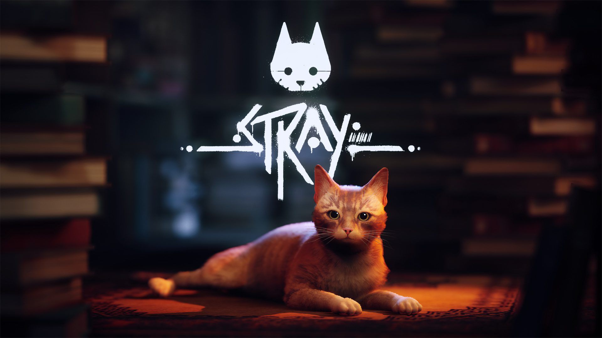 1920x1080 Stray Review 2022 Middle East