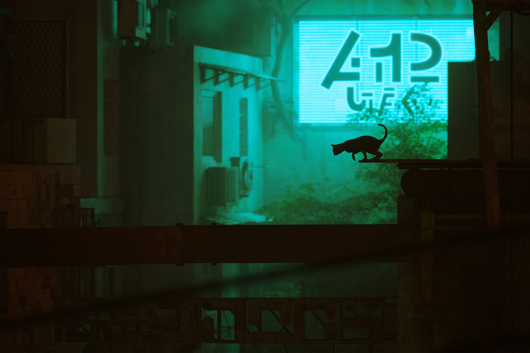 1692x1128 The video game Stray taps into why we fancy being a cat