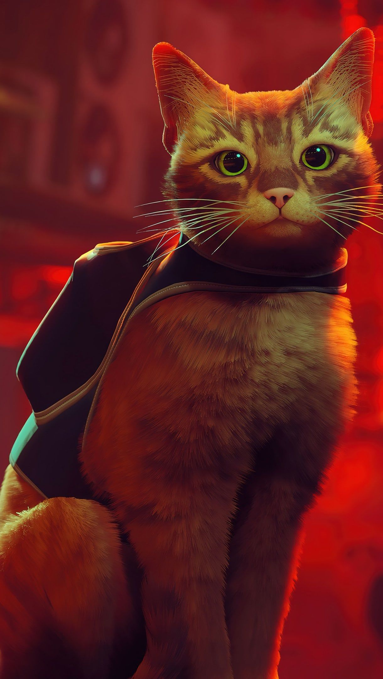 1220x2160 Stray Cat Game Wallpaper 4K for iPhone and Mobile Phone
