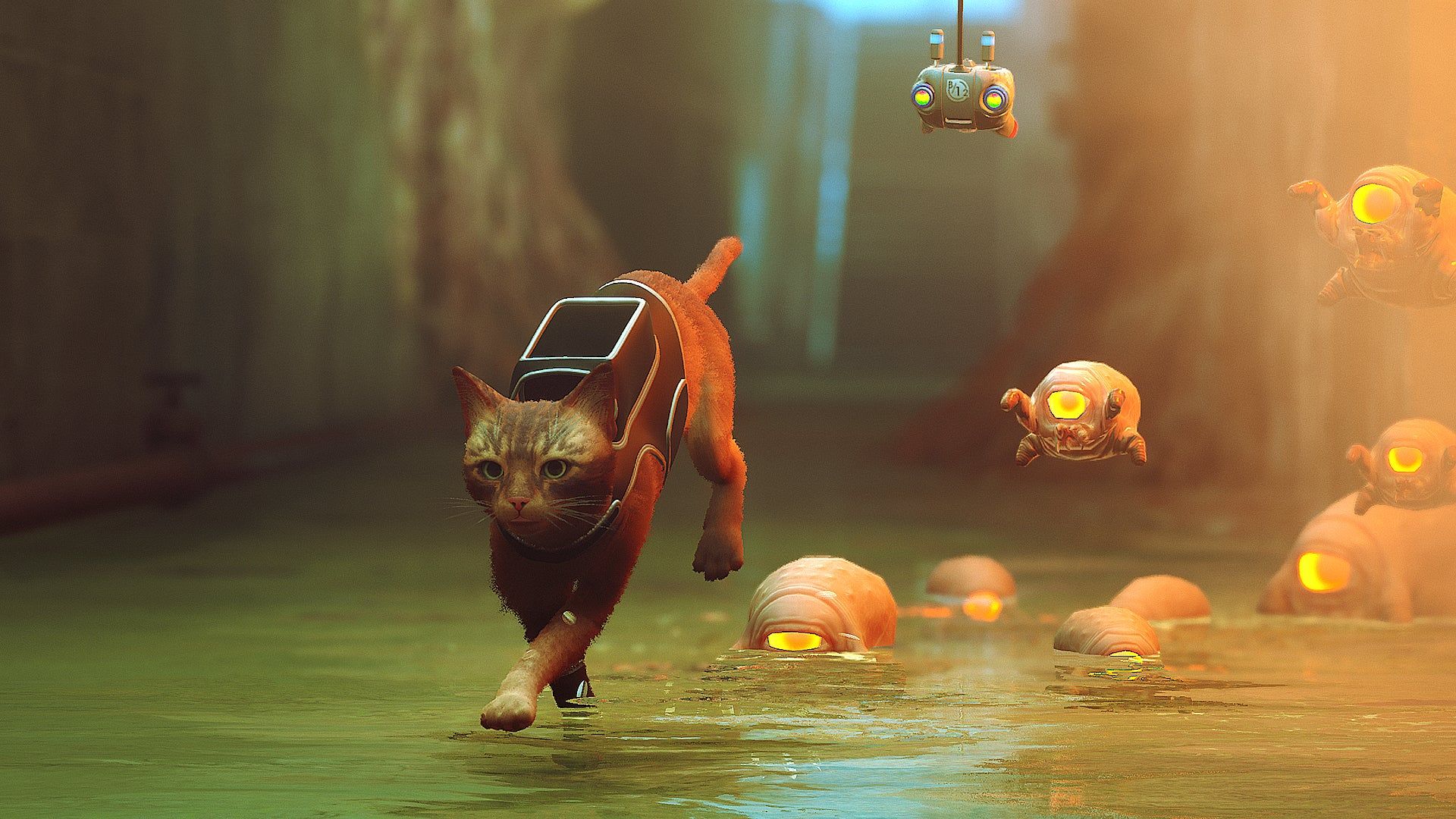 1920x1080 Stray Wallpaper