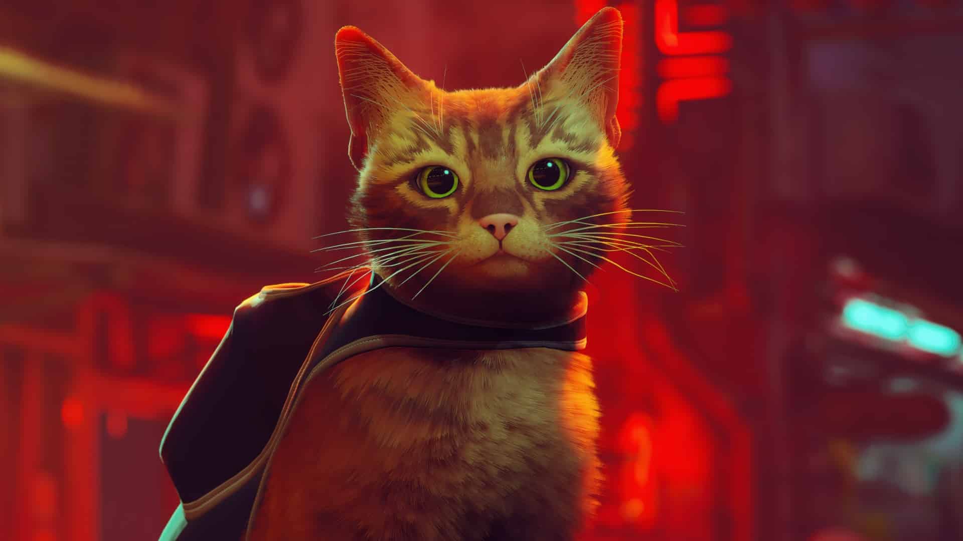 1920x1080 Stray Review Exquisitely, Believably Cat Like