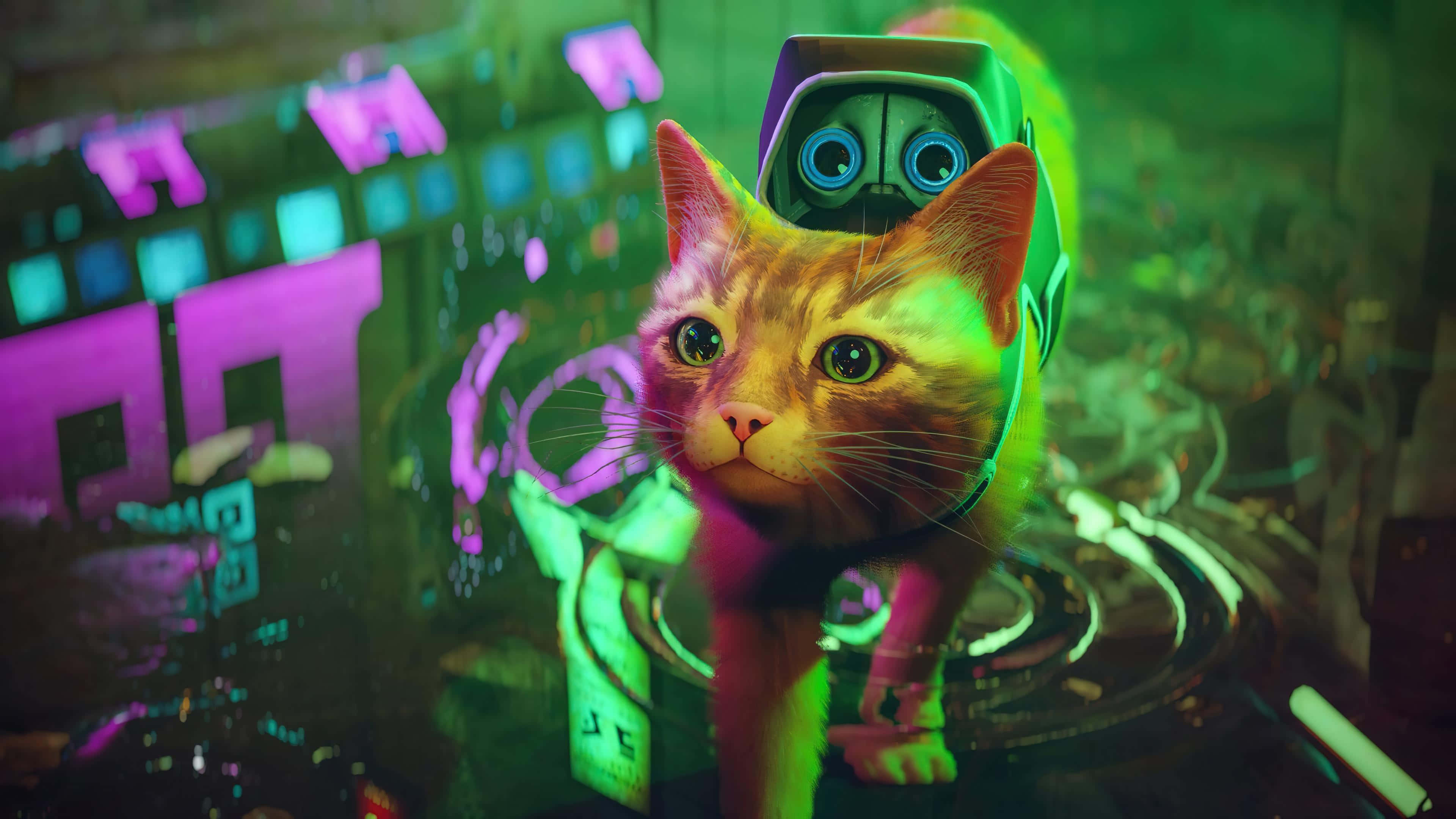 3840x2160 Download Stray Game Cyber Cat Adventure Wallpaper