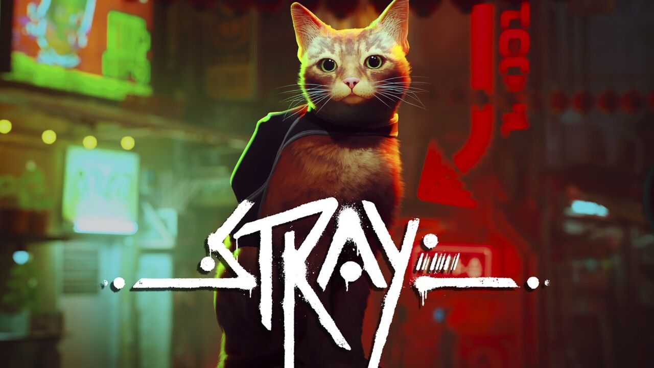 1280x720 Stray': How a virtual orange tabby is helping real cats