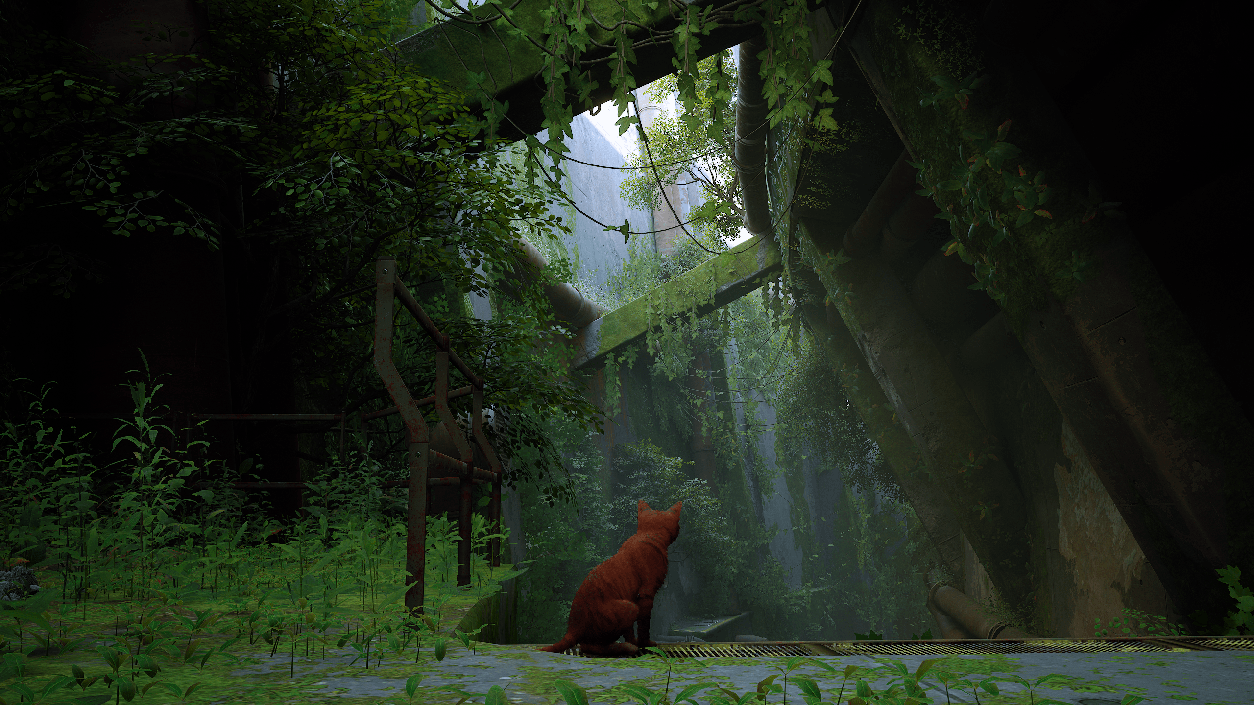 2560x1440 Stray Screenshots (2560x1440) for your desktop background (Spoilers)