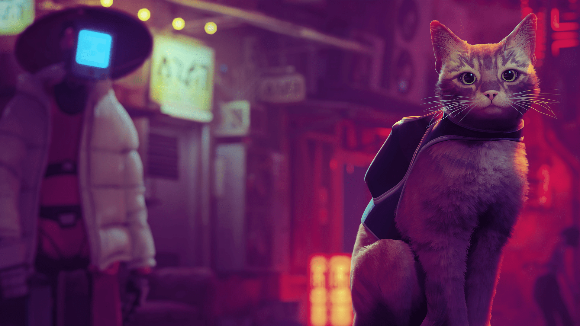 1920x1080 Stray Review: My Worries For The Purr Tagonist