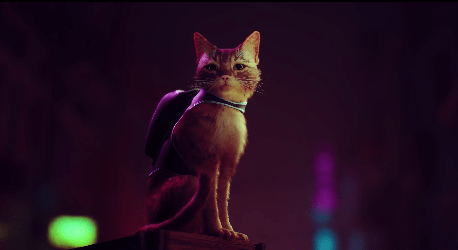 1470x802 Stray' on PS5: What We Know About the Cyberpunk Cat Simulator