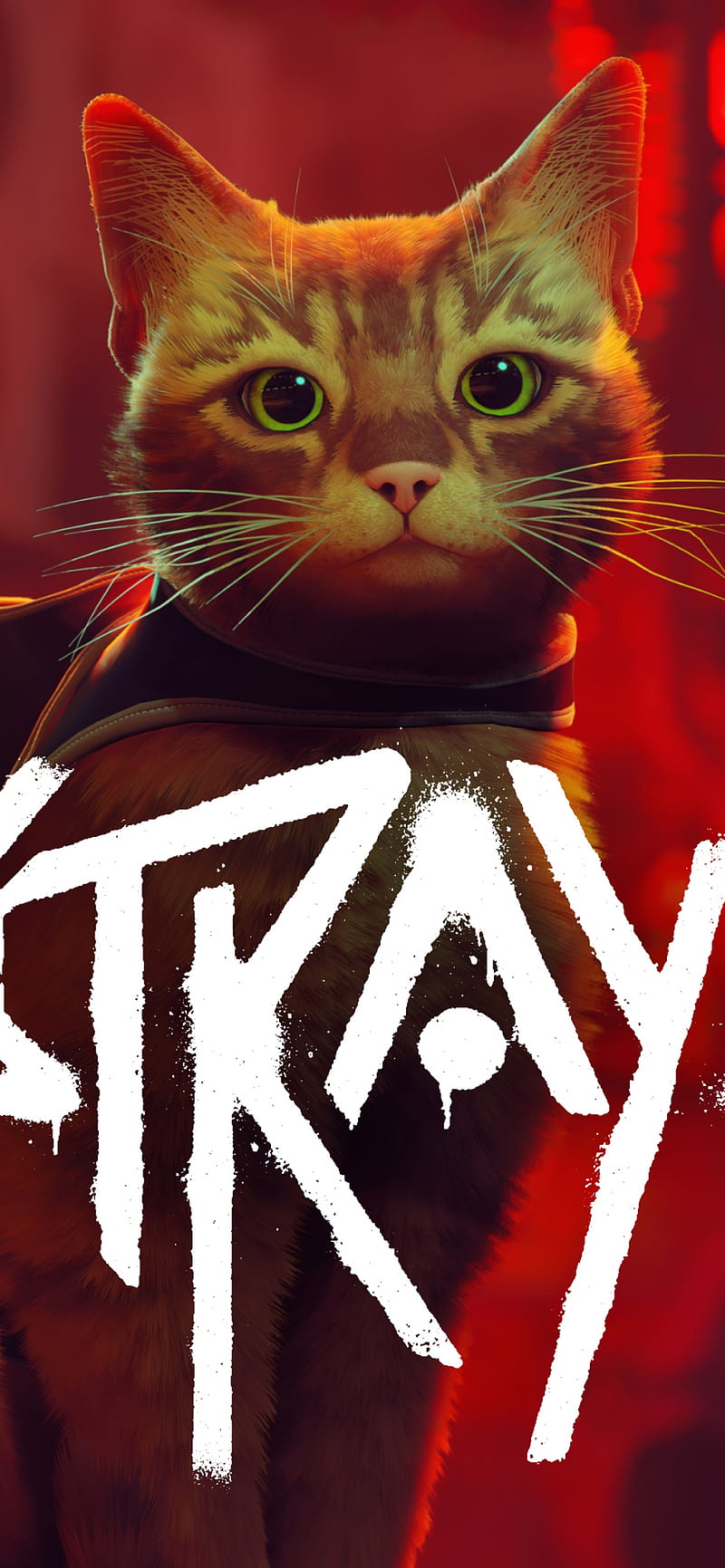 800x1731 Stray, cat, PC Games, PlayStation PlayStation Games, HD phone wallpaper