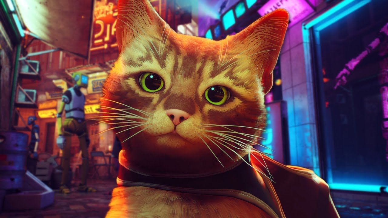 1280x720 Stray is a PURRFECT game. Stray Gameplay Part 1