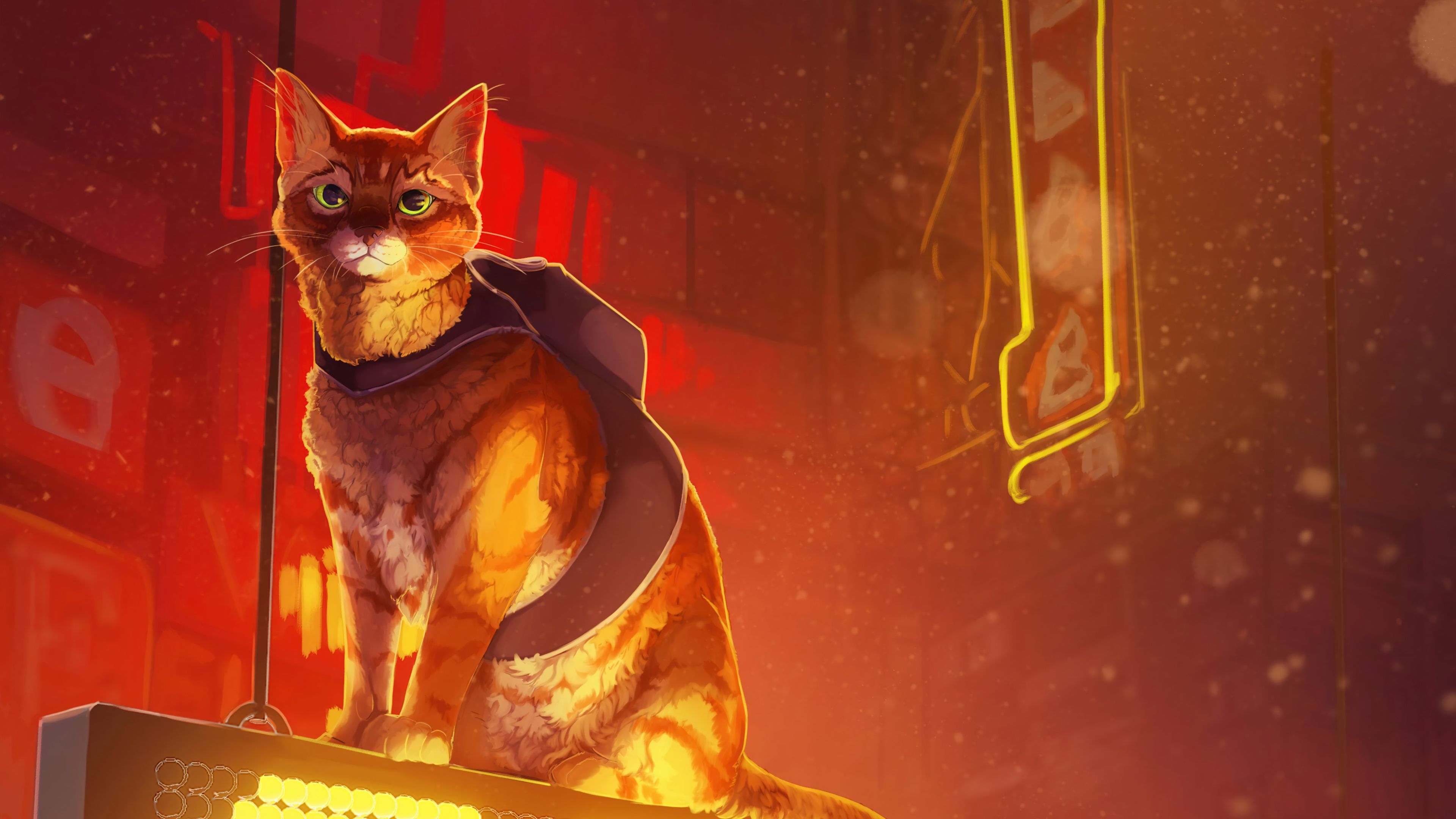 3840x2160 Stray HD 4K Wallpaper PC & Phone