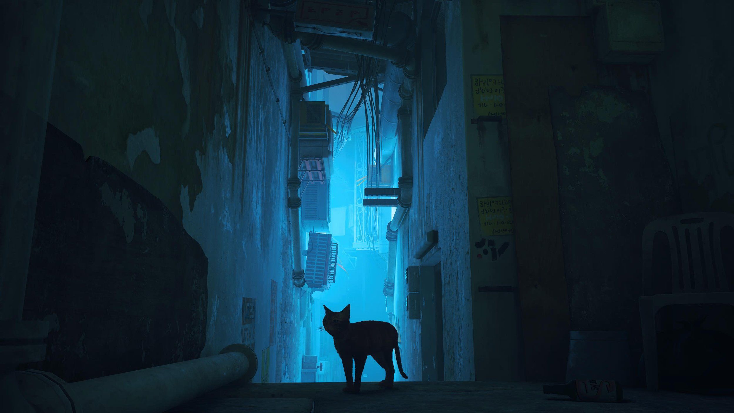 2500x1406 Stray- Videogames As Art