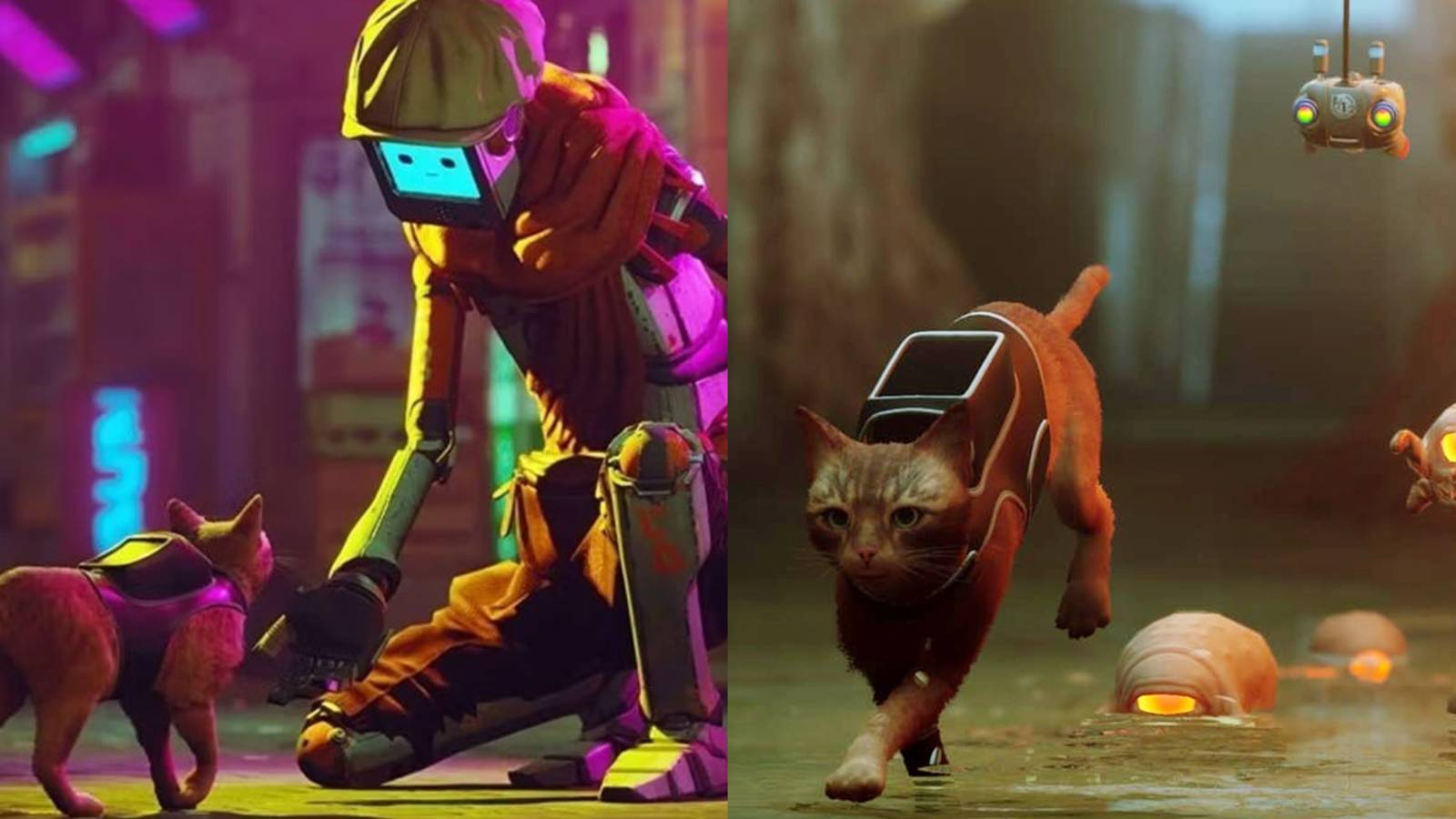 1600x900 Stray: 10 Things We Learned About The Game's Dystopian World