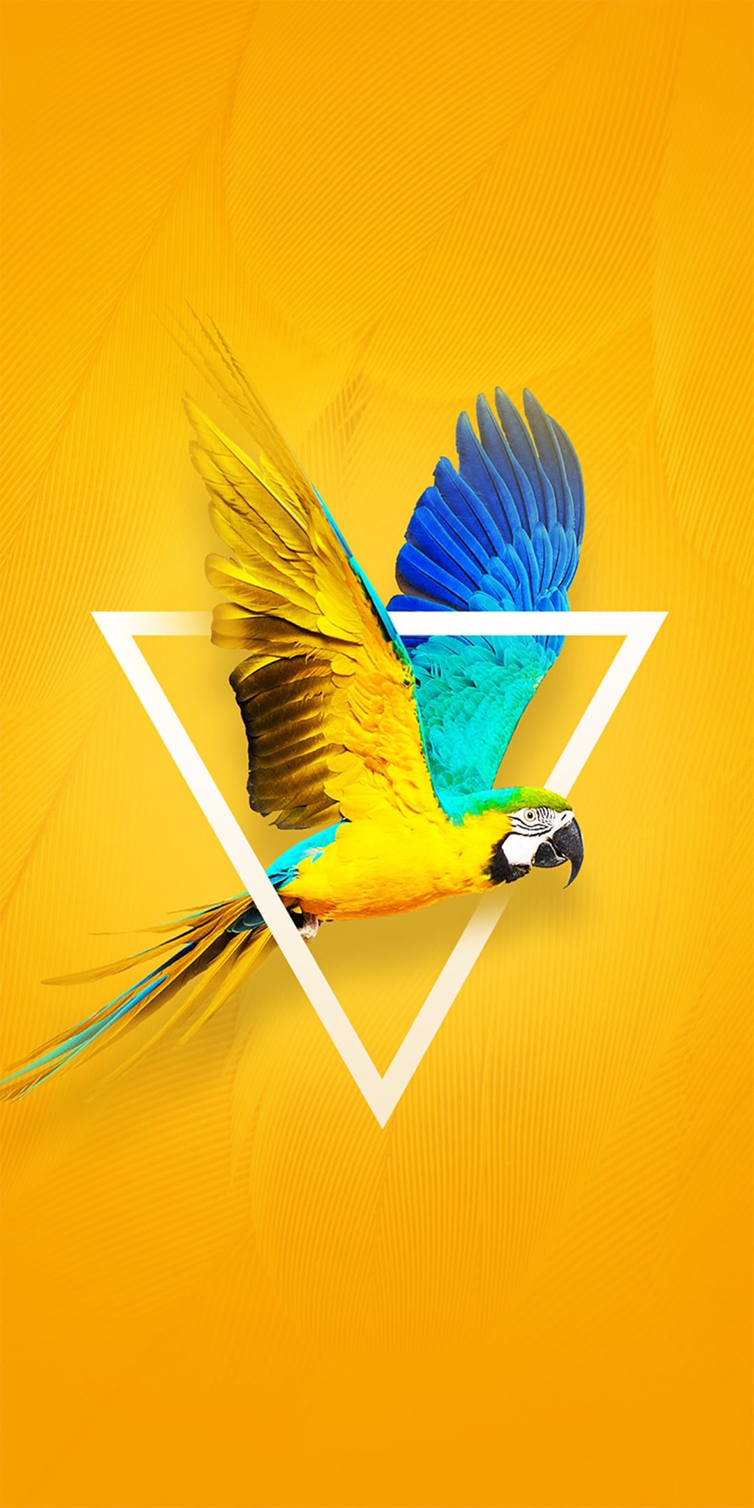 1080x2160 Wallpaper Tecno Mobile Phone Cover Tecno Spark 40 Wallpaper 130 Case And Covers Buy In Pakistan