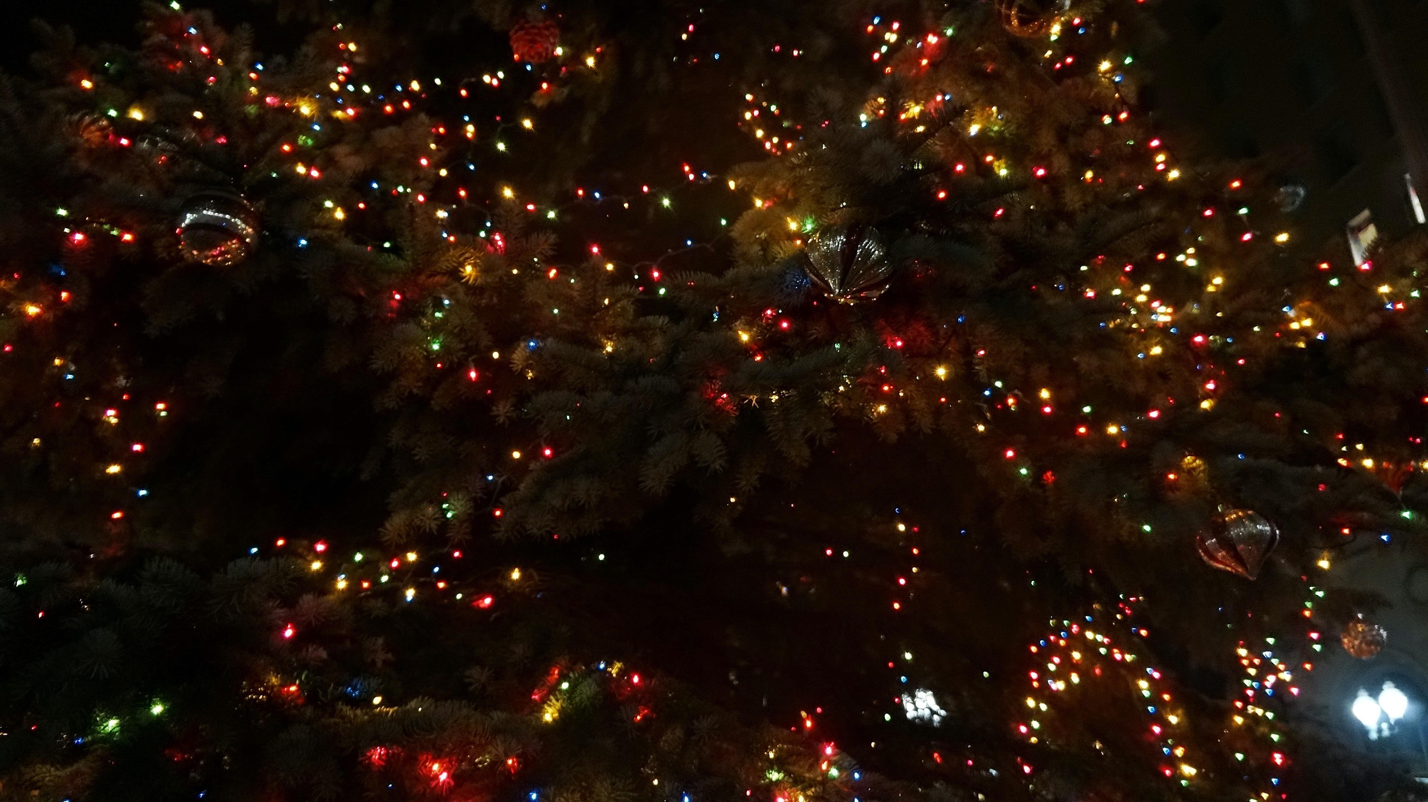 4912x2760 Pretty Christmas Wallpaper HD Wallpaper