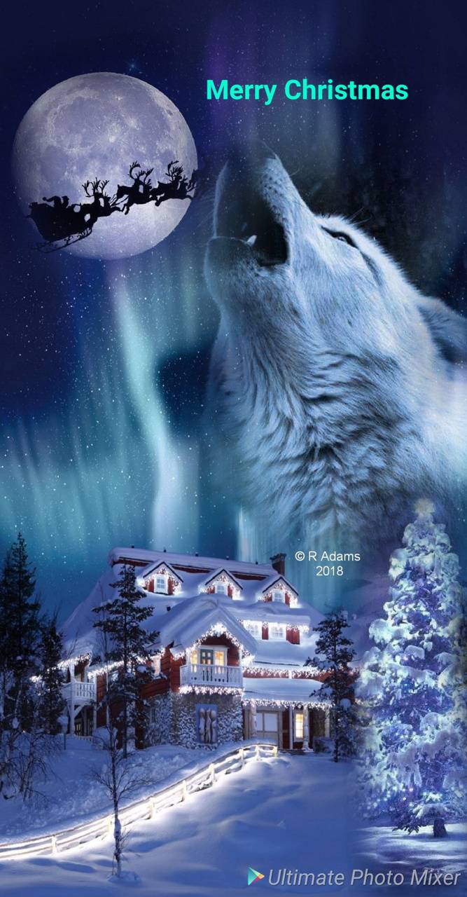 Christmas Wolf Wallpapers Top Free Christmas Wolf Backgrounds